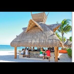 Meet your Posher, Steven